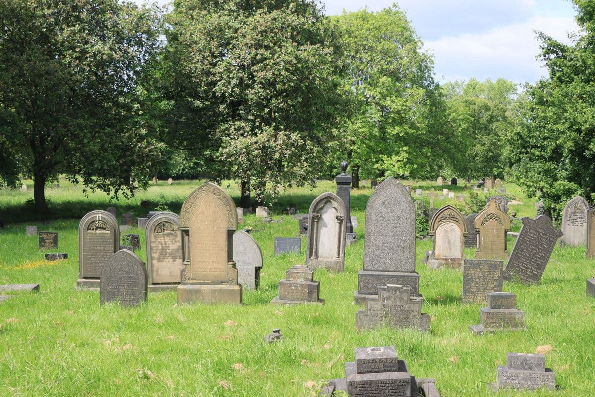Rows of old weathered headstones on a sunny, grassy cemetery lawn with tall green trees behind