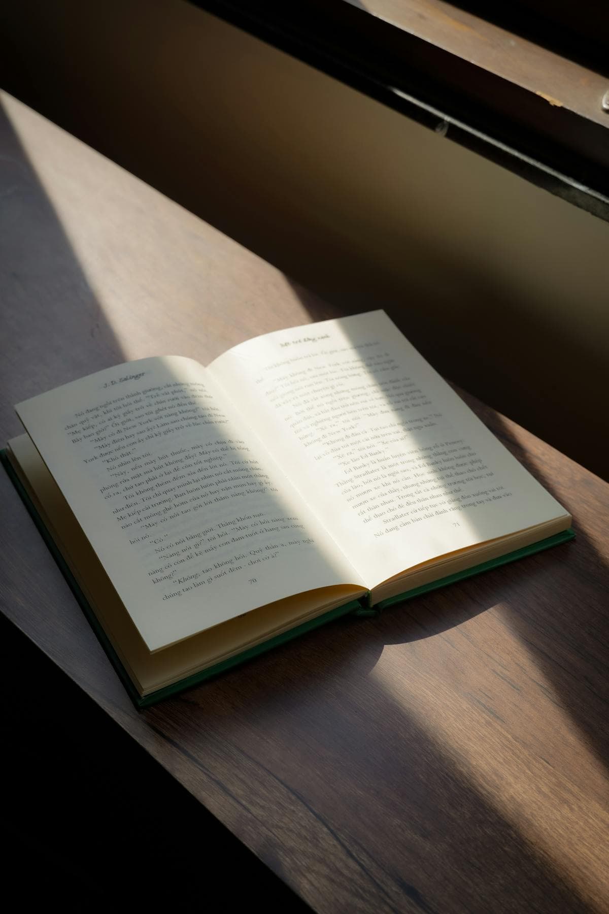 What Is Euthanasia? Meaning, History and Key Terms