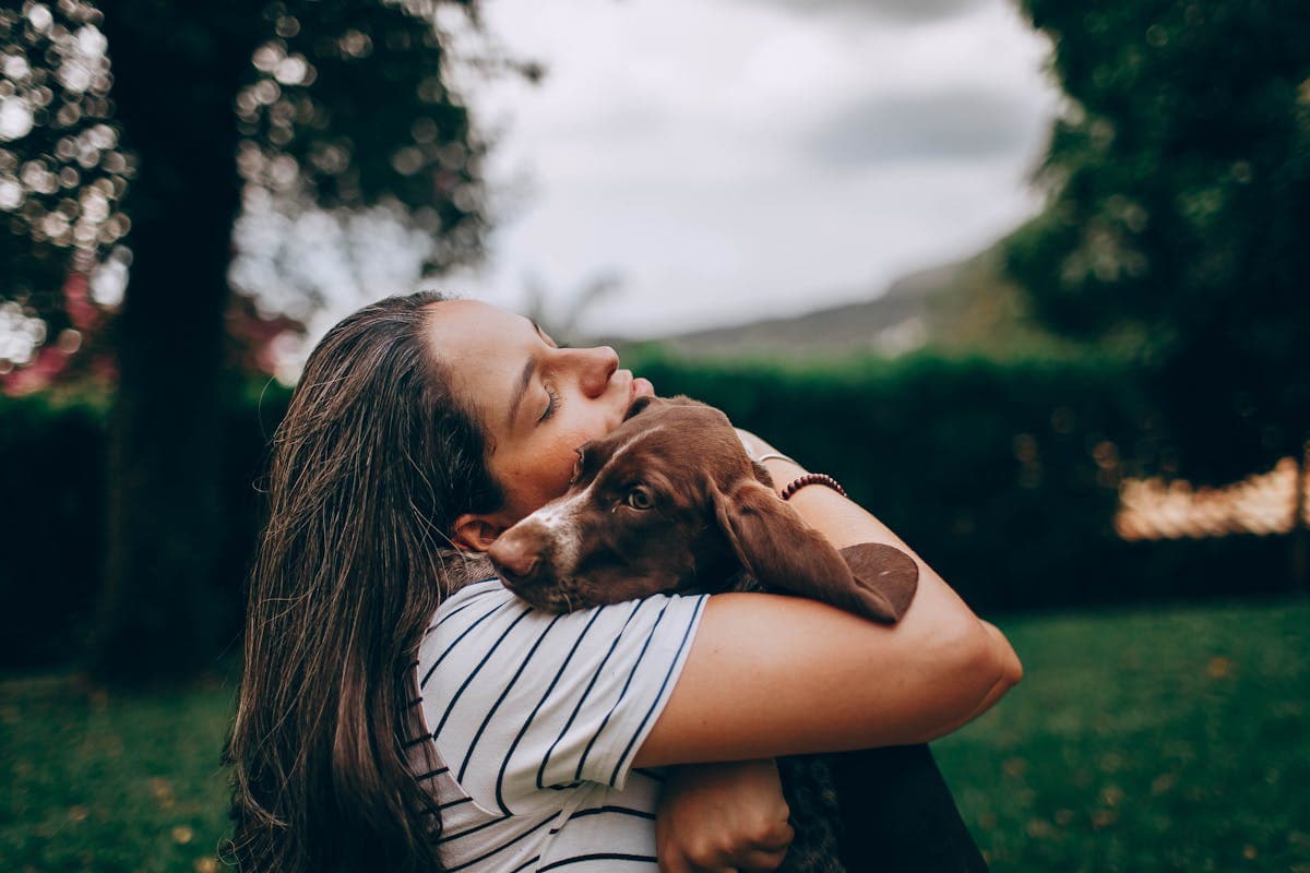 Pet Euthanasia Ethics and Grief: Guilt, Faith and Support