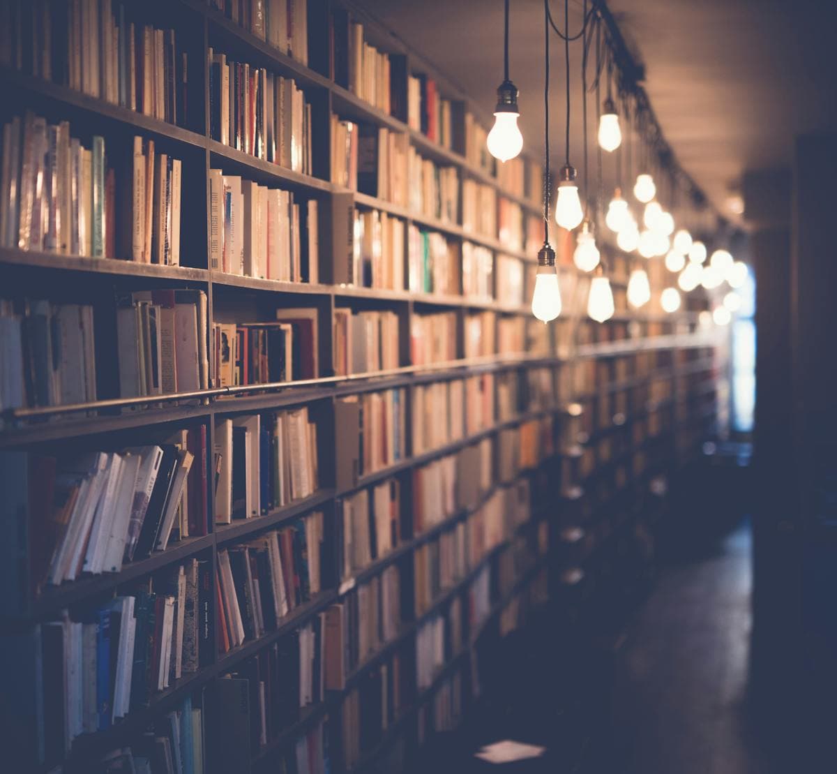 Euthanasia Resources: Data, Research, Groups and Support